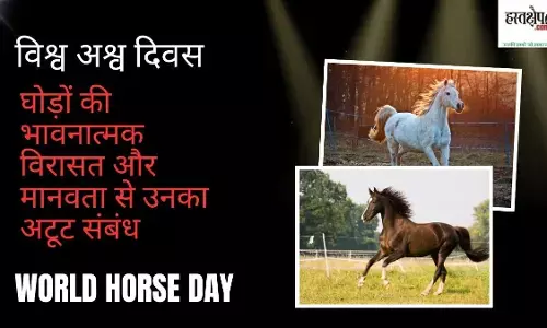 World Horse Day in Hindi World Horse Day in Hindi