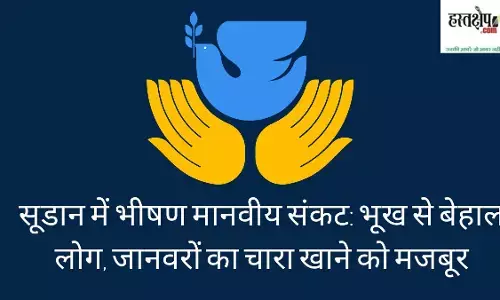 A huge humanitarian crisis in Sudan: People suffering from hunger, forced to eat animal feed