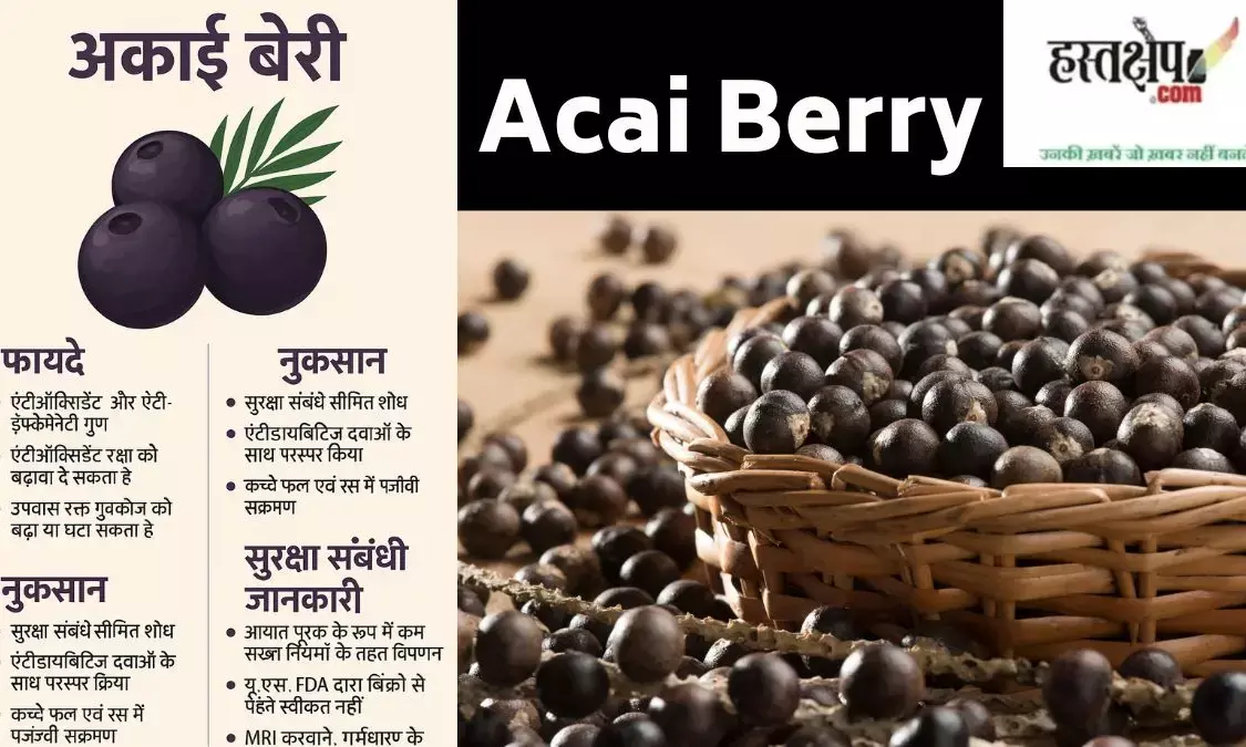 Acai Berry-अकाई बेरी