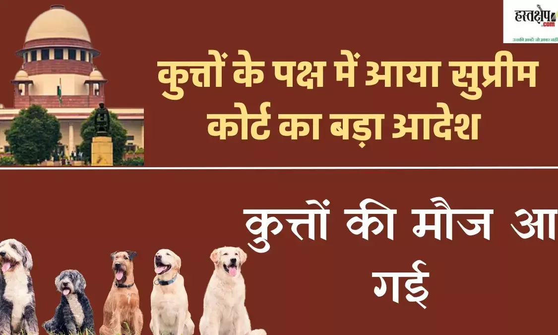 Supreme Court stays order to remove stray dogs in Delhi-NCR, gives new guidelines