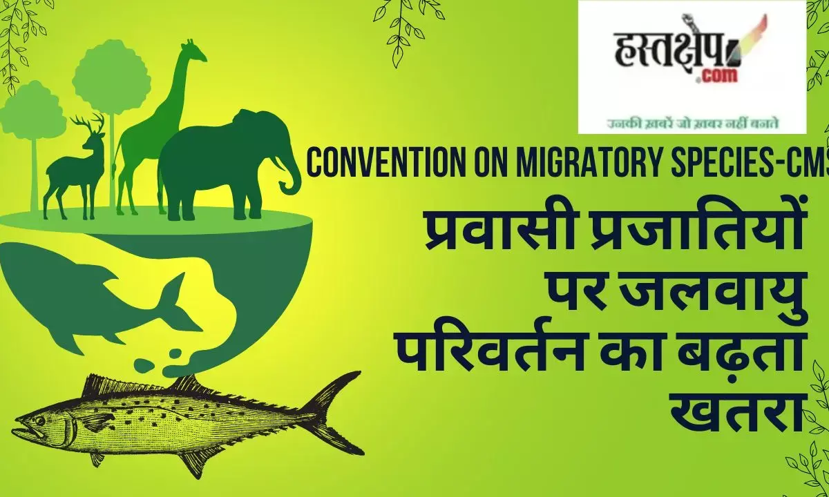 Convention on Migratory Species-CMS