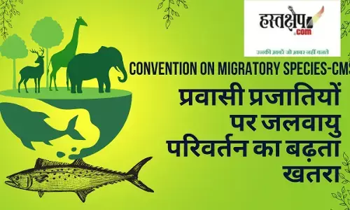 Convention on Migratory Species-CMS