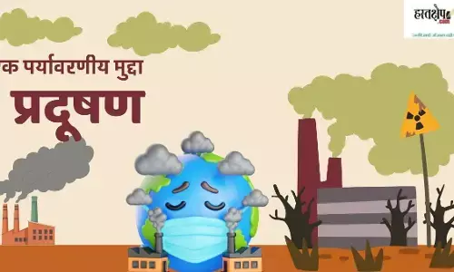 An environmental issue Pollution