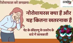 What is norovirus and how dangerous is it?