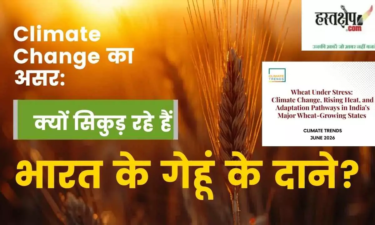 Changing Winters, Shrinking Grains: The Growing Climate Crisis Facing Indias Wheat and the Challenge to Food Security