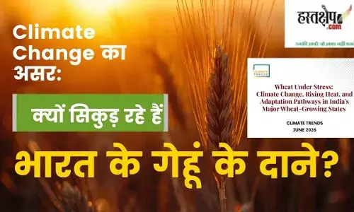 Changing Winters, Shrinking Grains: The Growing Climate Crisis Facing Indias Wheat and the Challenge to Food Security