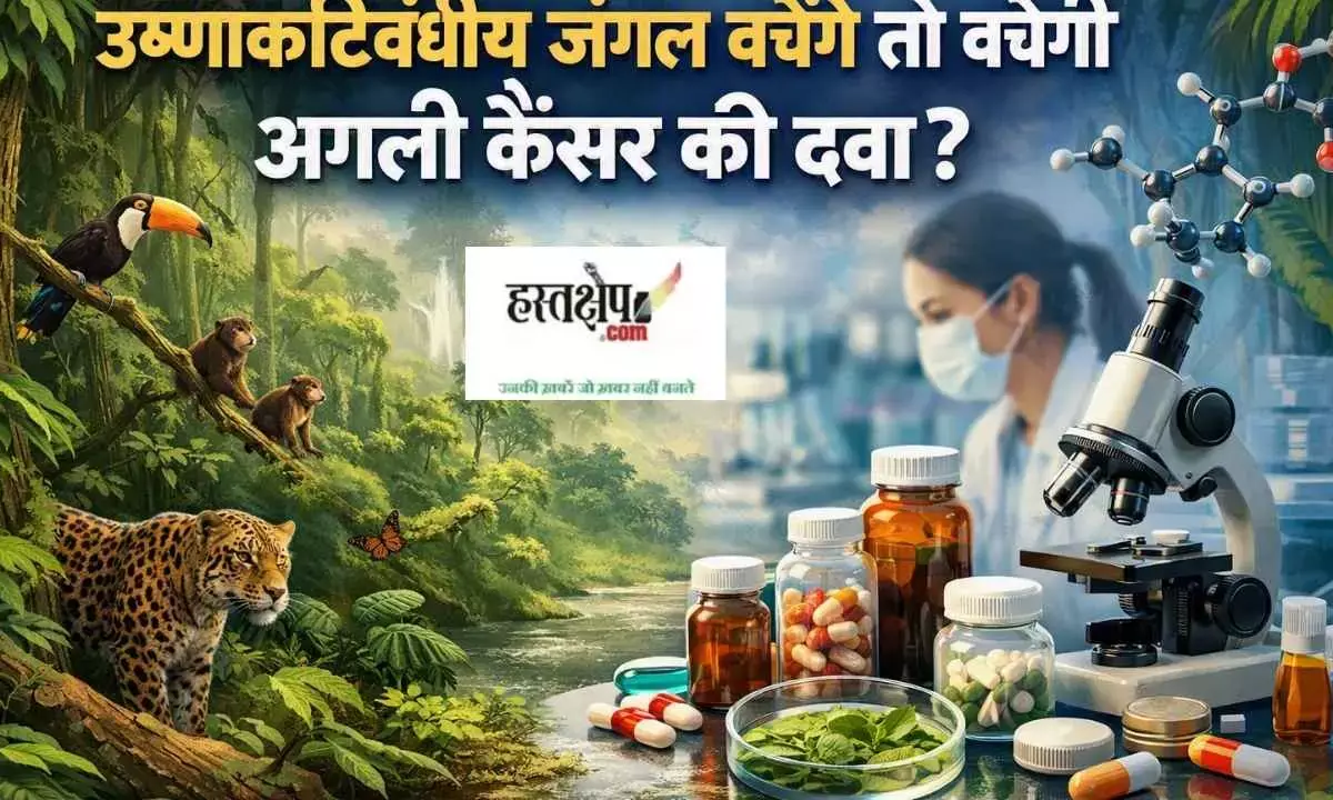 Will the next cancer drug survive if tropical forests survive? Major revelation in a new report. Will the next cancer drug survive if tropical forests survive? Major revelation in a new report.