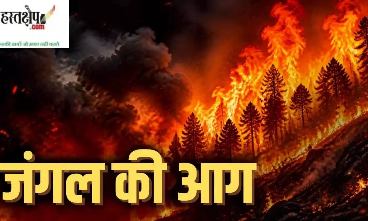 Raging forest fires Raging forest fires