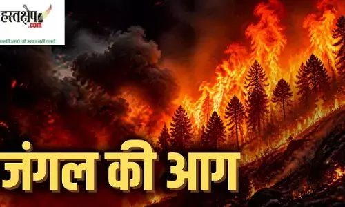 Raging forest fires Raging forest fires