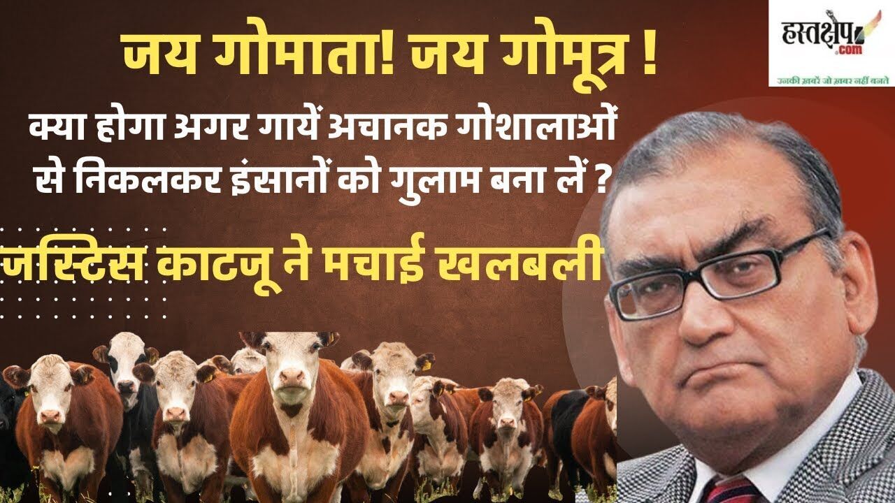 गाय का ग्रह: जस्टिस मार्कंडेय कटजू का गौ महाकुंभ और गाय की पूजा की राजनीति पर व्यंग्य