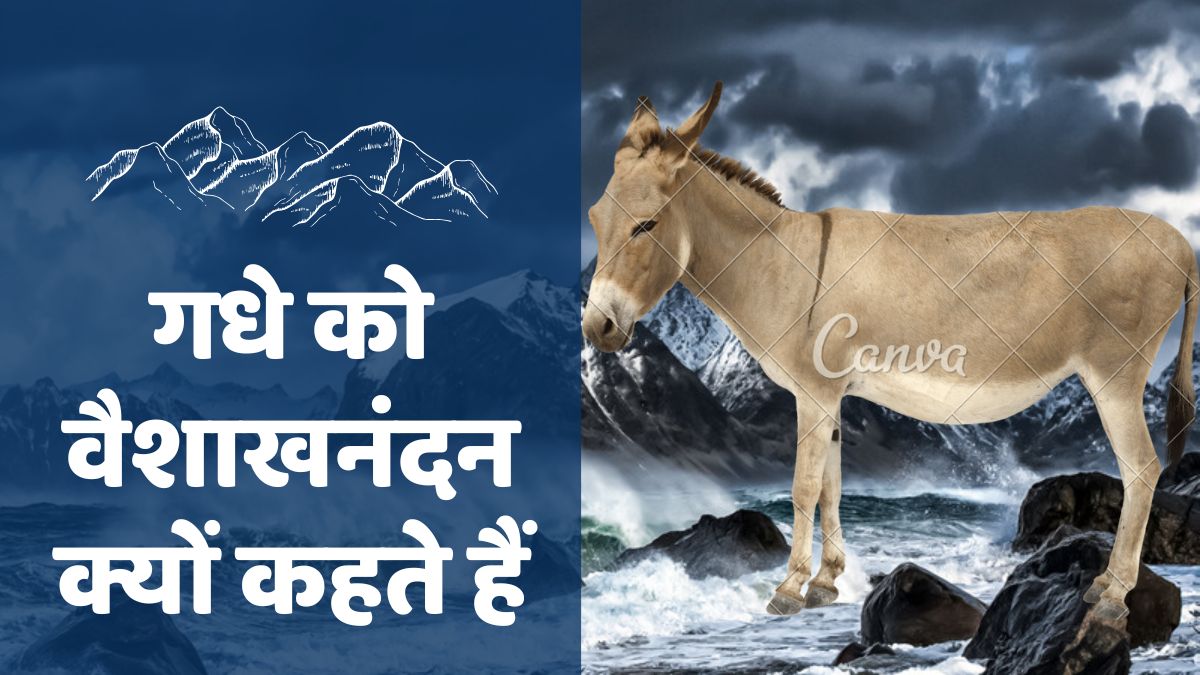 why is the donkey called vaishakhanandan