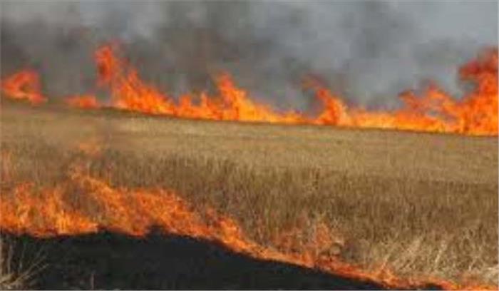 पराली जलाने पर किसानों पर जुर्माना : किसान सभा ने किया विरोध