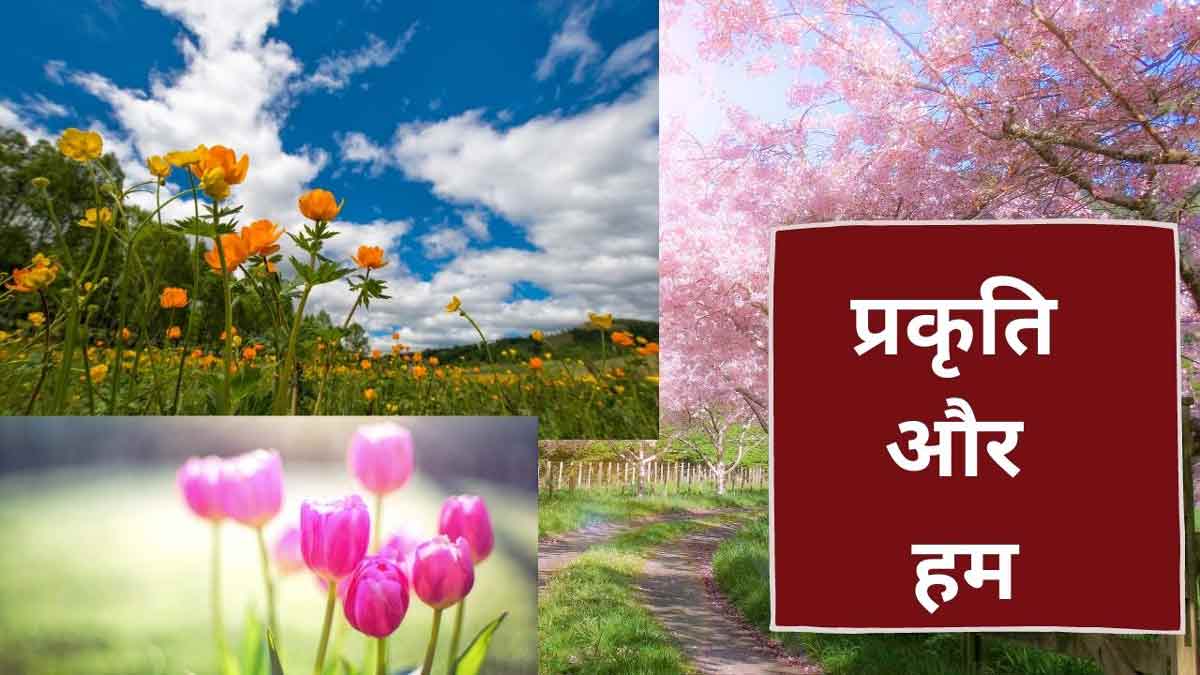 सीएसआईआर की प्रयोगशालाओं में विकसित हो रही फूलों की उन्नत किस्में