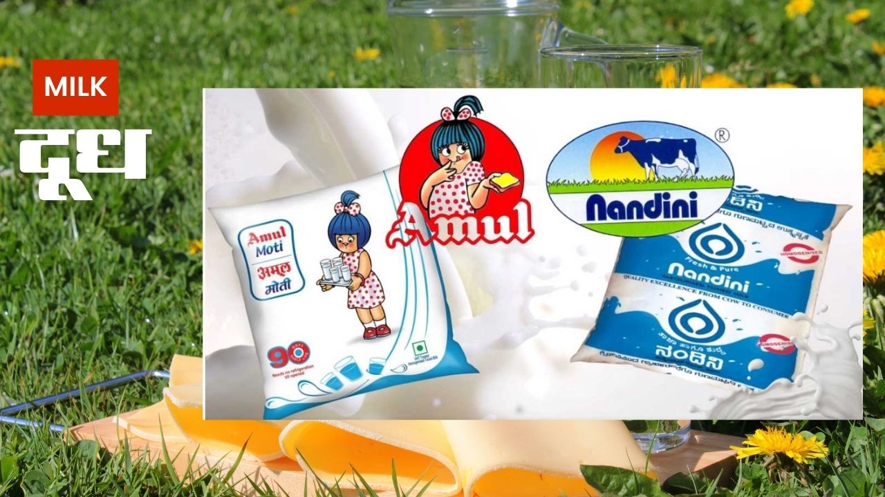 गुजरात के अमूल की कर्नाटक की नंदिनी को चुनौती बनी भाजपा का सिर दर्द