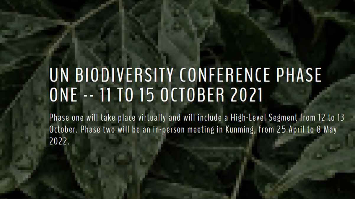 आगामी 11 अक्टूबर 2021 से चीन में वर्चुअल रूप से शुरू होगा जैव विविधता महासम्मेलन (CBD)