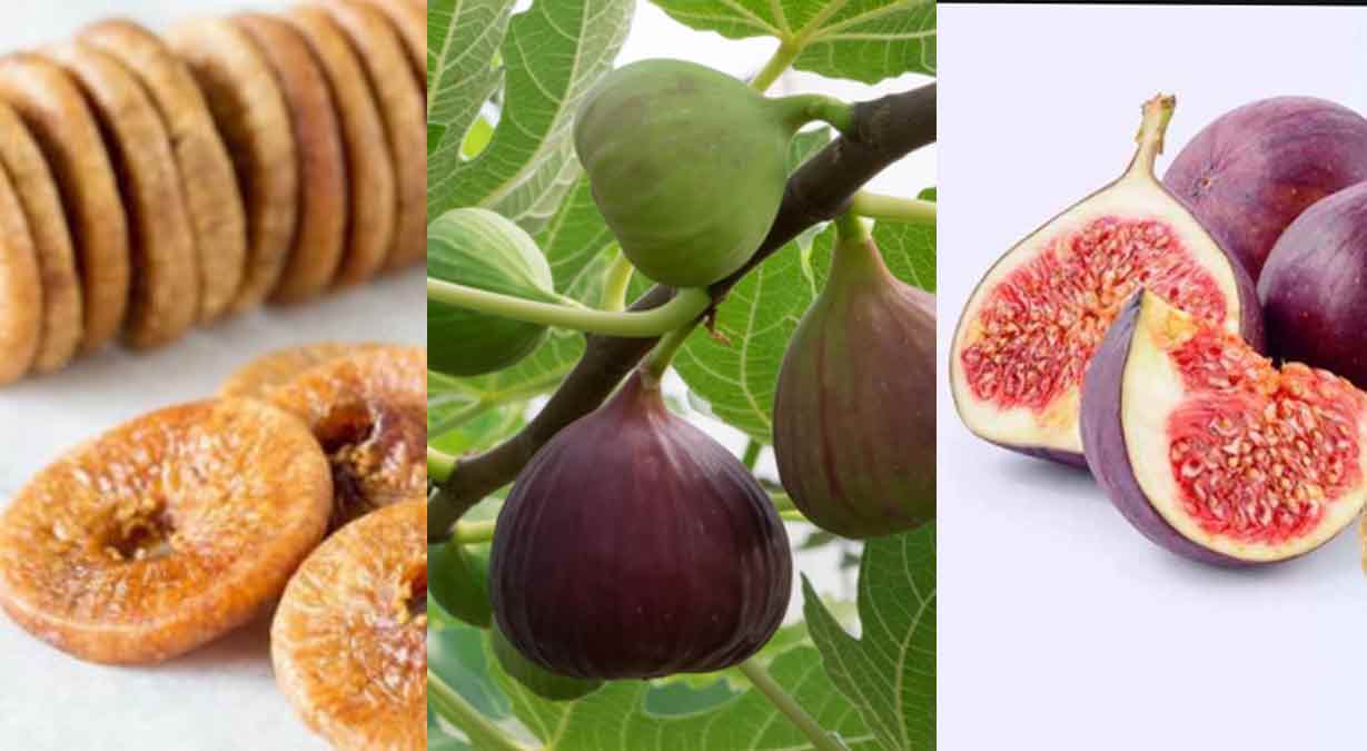 क्या आप भी अंजीर के फायदे के बारे में ये बात जानते हैं ?