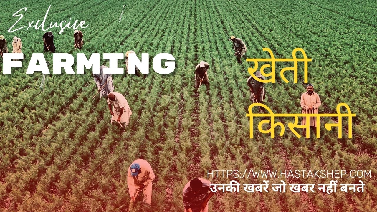 Farming खेती किसानी