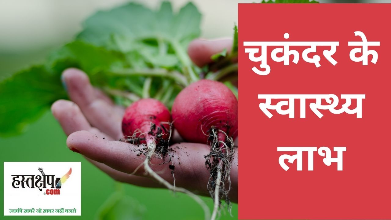 जानिए पौषक तत्वों से परिपूर्ण चुकंदर के बारे में