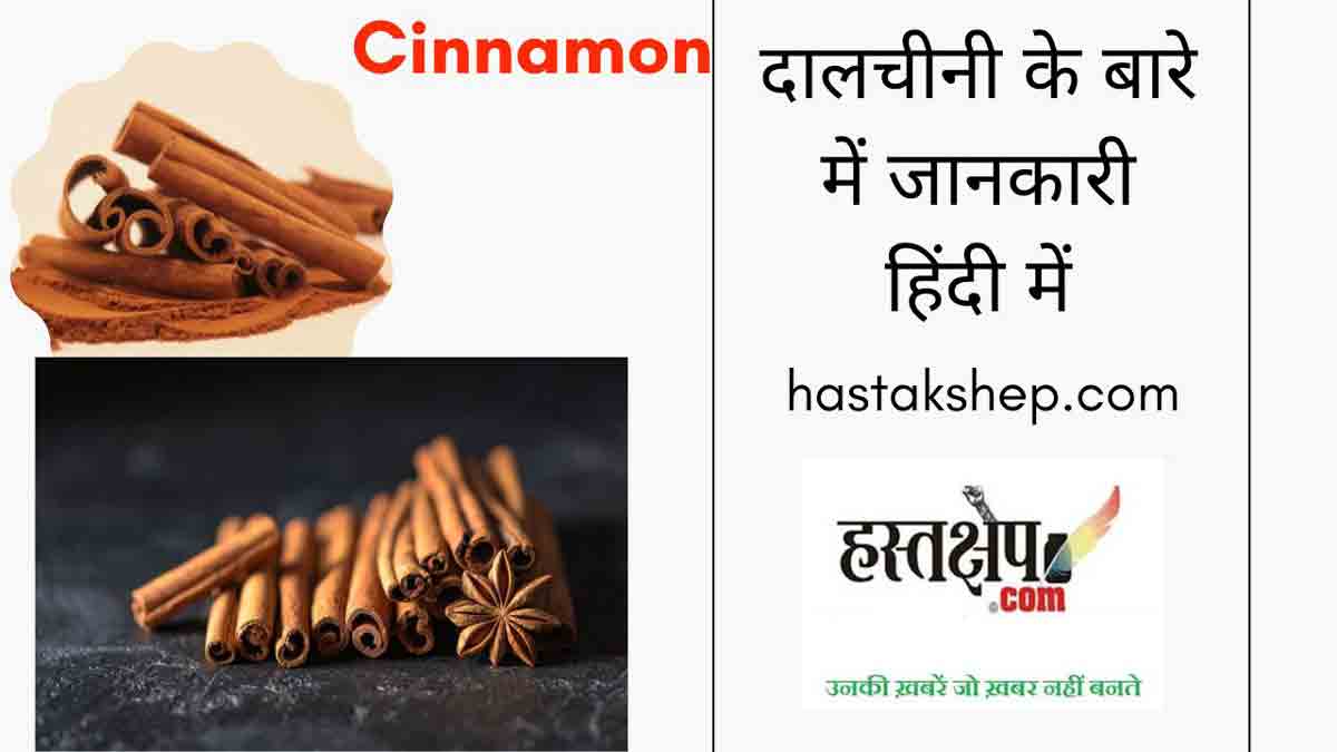 क्या आप भी जानते हैं दालचीनी के ये अनगिनत फायदे क्या आप भी जानते हैं दालचीनी के ये अनगिनत फायदे
