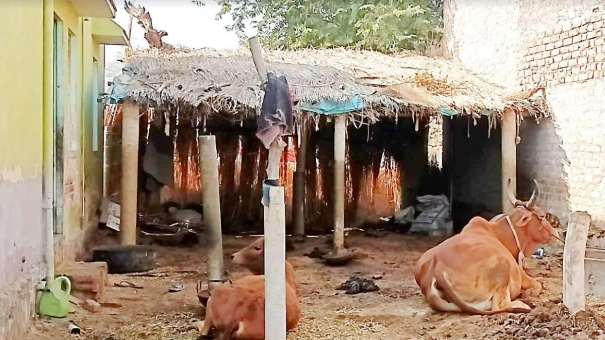 क्यों किसानों के लिए पशुपालन बोझ बनता जा रहा है? – राजस्थान में पशुपालन की चुनौतियाँ क्यों किसानों के लिए पशुपालन बोझ बनता जा रहा है? – राजस्थान में पशुपालन की चुनौतियाँ