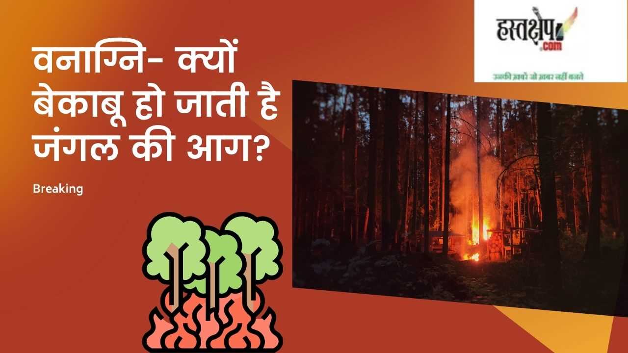 वनाग्नि- क्यों बेकाबू हो जाती है जंगल की आग?
