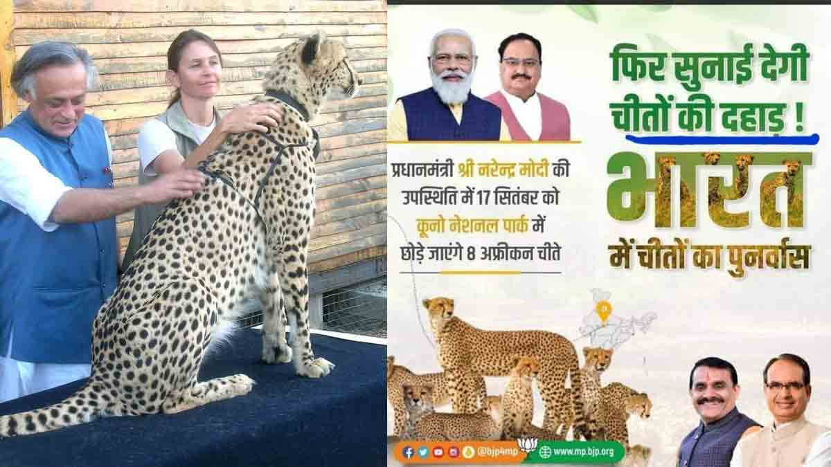 चीतों के आने के बाद उम्मीद है अब कुपोषण और मौतें रुकेंगी