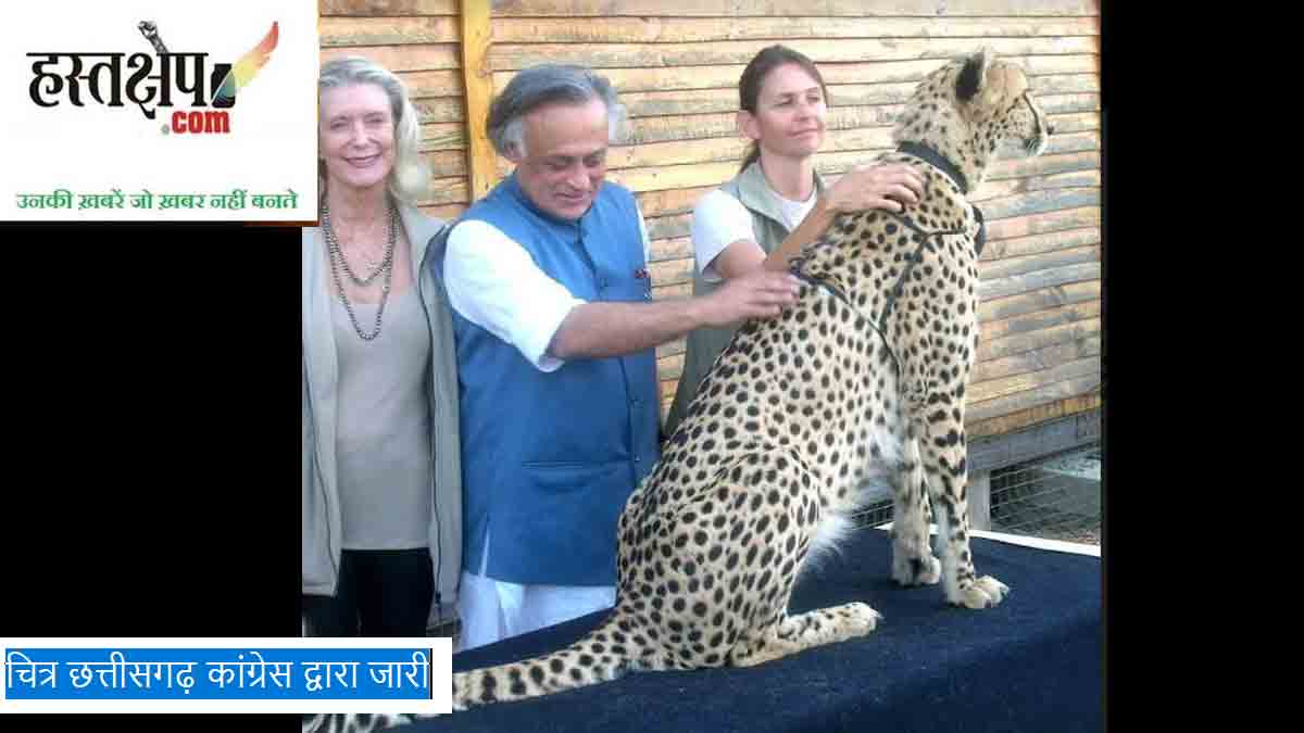 चीता प्रोजेक्ट : मोदी-भाजपा ने देश को गुमराह किया- कांग्रेस