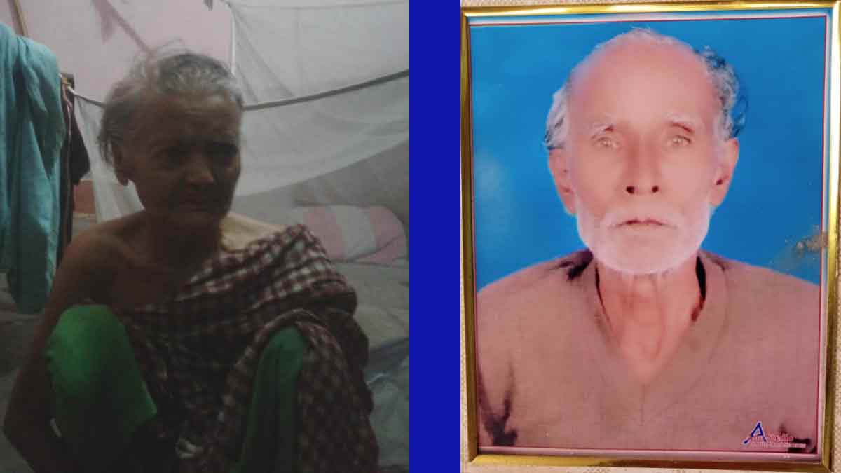 तुलसी काकी ने जीवन भर इतने दुख झेले कि उनके शरीर में कुछ बचा ही न था