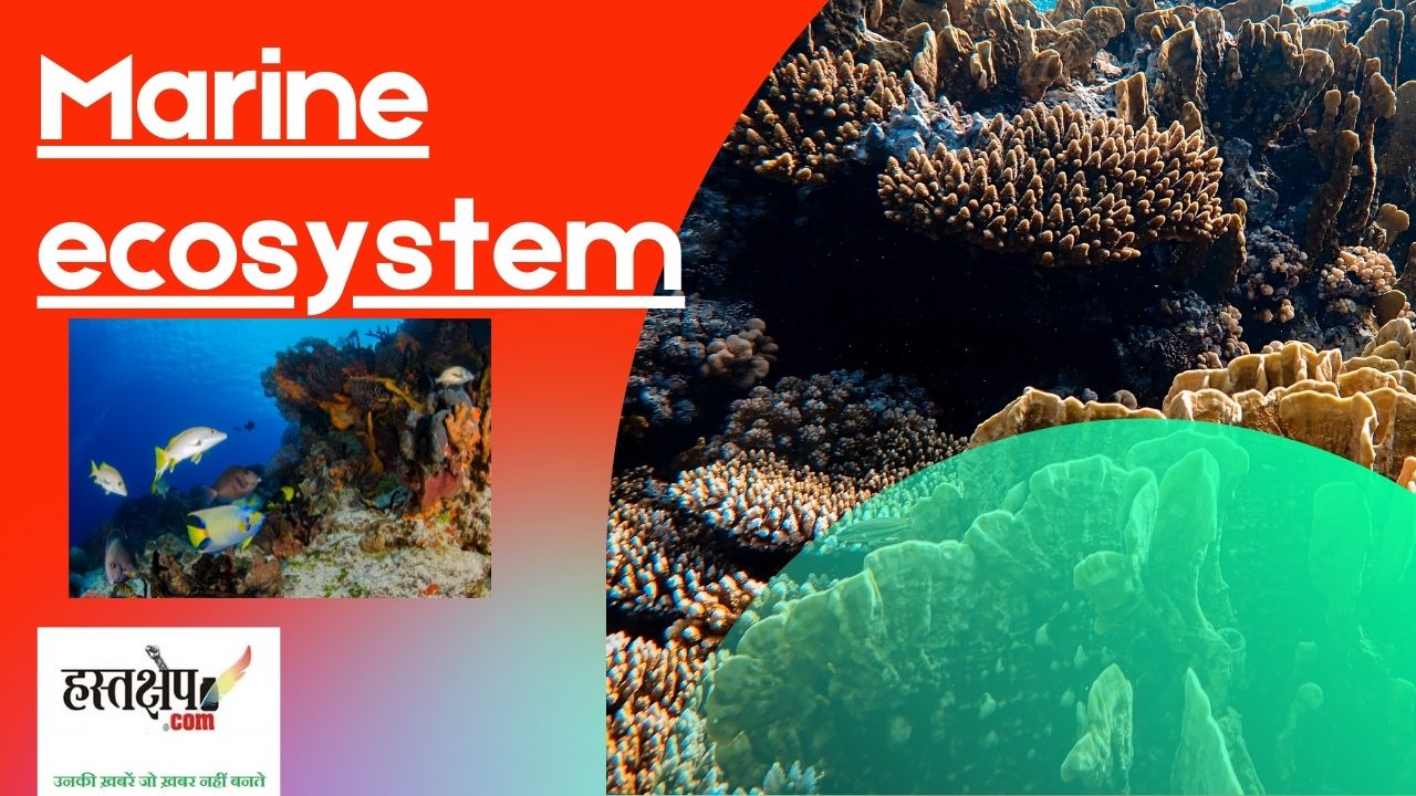 प्लास्टिक कचरा समुद्री पारिस्थितिकी तंत्र के लिए बना मुसीबत