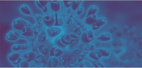 जानिए क्या एंटीबायोटिक्स कोरोना वायरस COVID-19 को रोकने या उसका इलाज करने में प्रभावी हैं ?