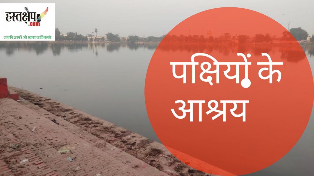 गंभीर होती पक्षियों के आवास की समस्या