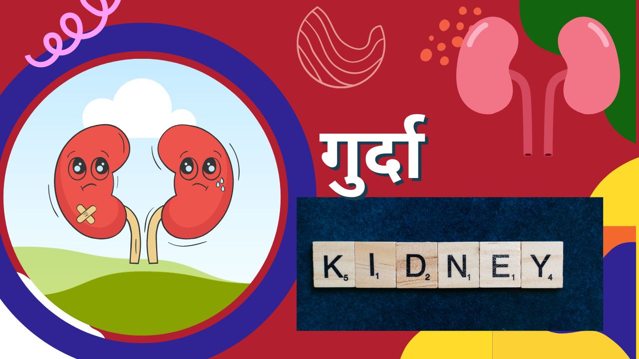 गुर्दे का संक्रमण के लक्षण और कारण (पायलोनेफ्राइटिस)