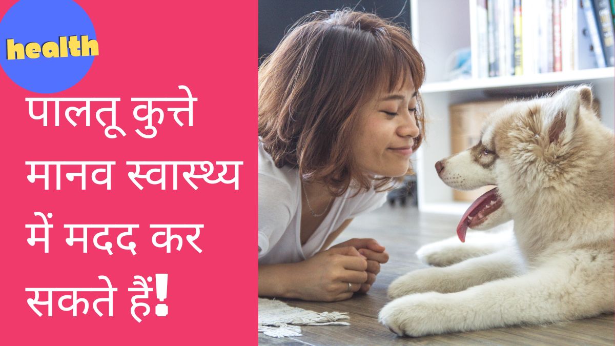 फर वाले प्यारे दोस्त पालतू कुत्ते मानव स्वास्थ्य में मदद कर सकते हैं!