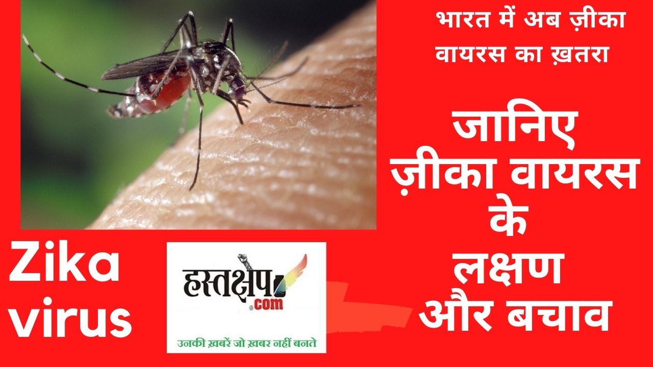 Zika virus : जानें कैसे फैलता है जीका वायरस, जानिए- लक्षण और बचाव