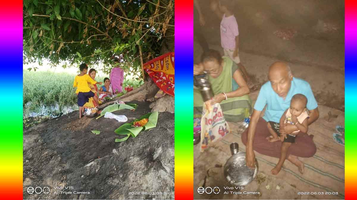 वन बीवी, सुंदरवन और वन भोजन