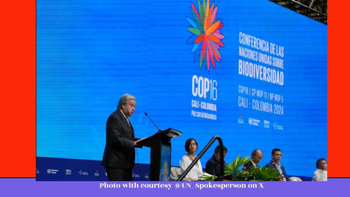 जैव विविधता सम्मेलन COP16: बुद्धिमानी से निर्णय, प्रकृति के साथ शांति, और पर्यावरणीय संकट का समाधान