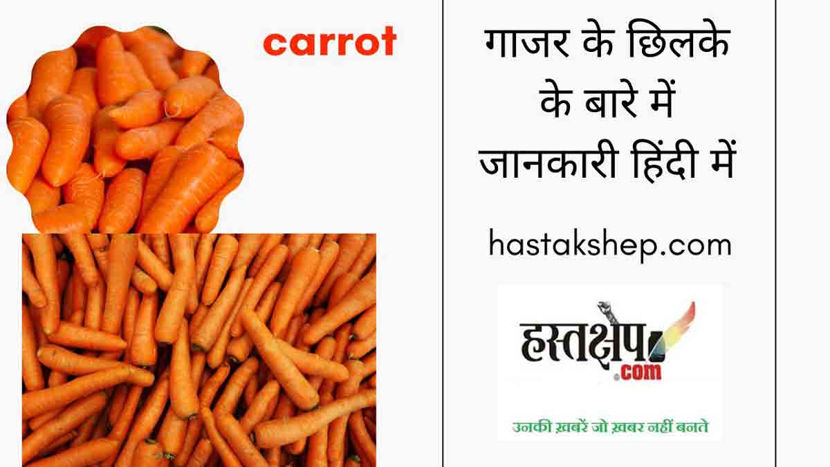 क्या आप जानते हैं गाजर के छिलके भी हैं बहुत काम के