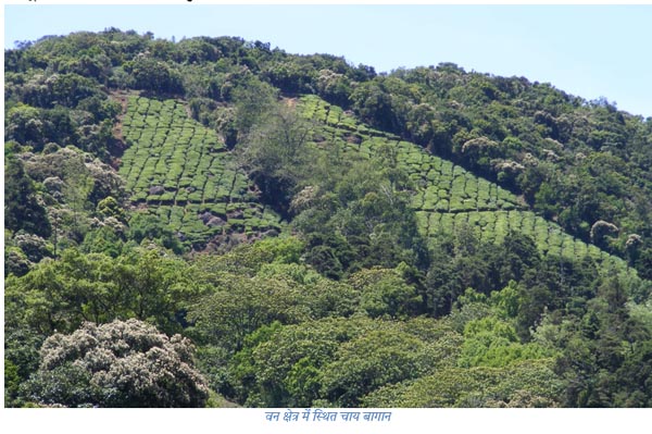 धीरे-धीरे सूख जायेंगे नदियों के स्रोत