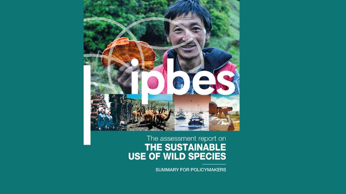 मनुष्य के भोजन के लिये दस हजार वन्‍यजीव प्रजातियों का दोहन : आईपीबीईएस