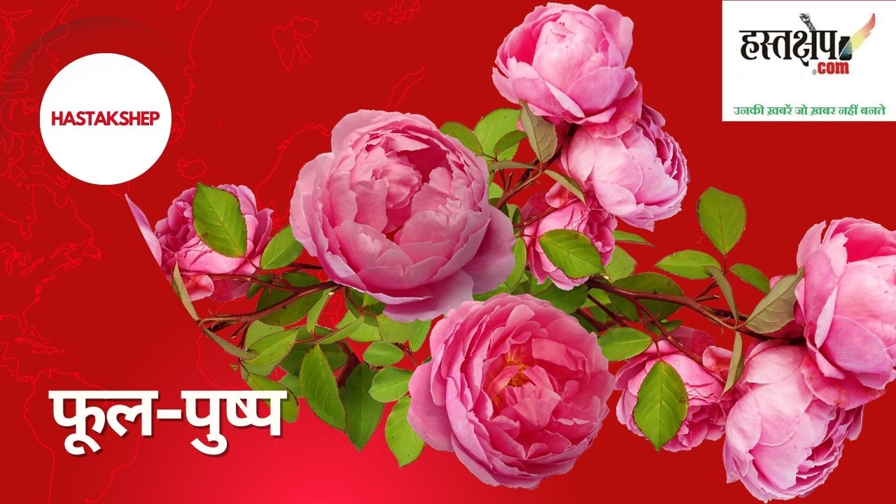 फूल प्रकृति और पर्यावरण का संरक्षक है