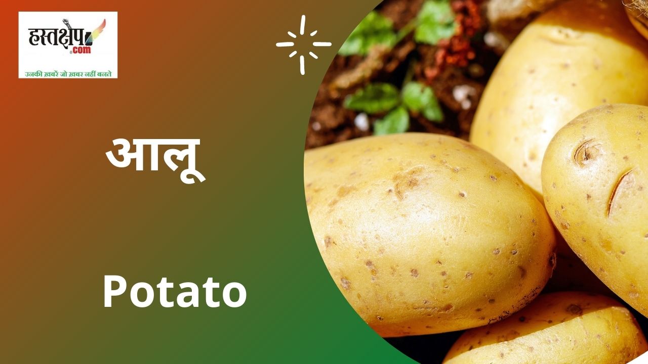 आलू से जुड़ी खास बातें, जो आप नहीं जानते