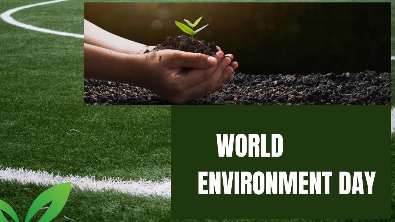 विश्व पर्यावरण दिवस : उपभोग करो और फेंको के नजरिए से बचो