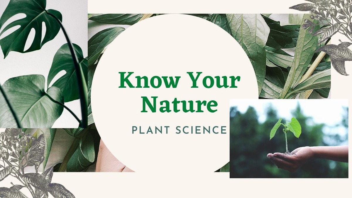 फेफड़े से नहीं ये जीव चमड़ी से सांस लेते हैं