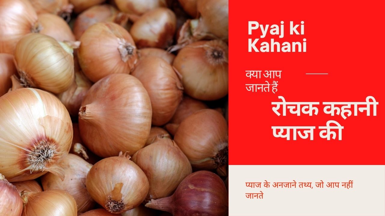 प्याज के अनजाने तथ्य, जो आप नहीं जानते