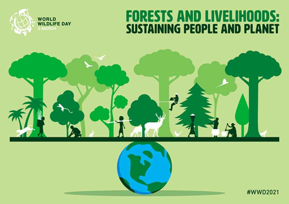 वन्यजीवों के संरक्षण को लेकर सजग होने का समय